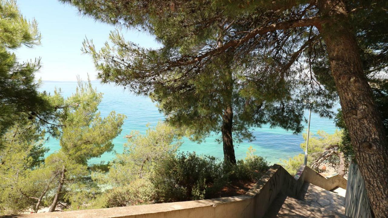 Apartment Ena - Lavica Podstrana Bagian luar foto